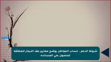 شروط الدعم.. حساب المواطن يوضح معايير عقد الإيجار للمطلقة للحصول على المساندة
